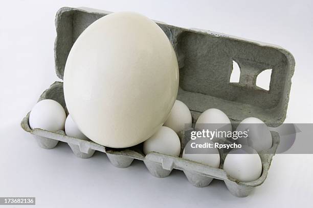 egg-ceeding egg-spectations - oversized object stock pictures, royalty-free photos & images