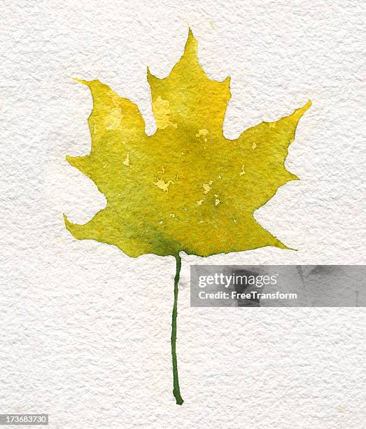 Cleaf Spring Drawing Watercolor Leaf Spring High-Res Vector Graphic - Getty Images