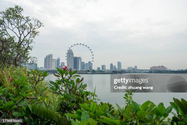 singapore flyer and city scenery - marina bay sands skypark stock pictures, royalty-free photos & images