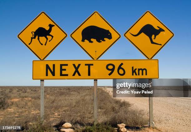 warning sign on number 1 road of australia - australian outback animals stock pictures, royalty-free photos & images