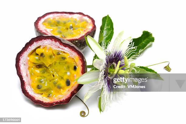 passionfruit with vine - passion fruit flower images stock pictures, royalty-free photos & images