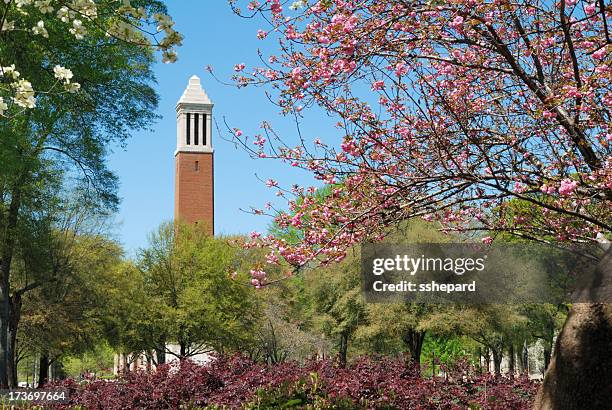 campus da primavera - university of alabama imagens e fotografias de stock