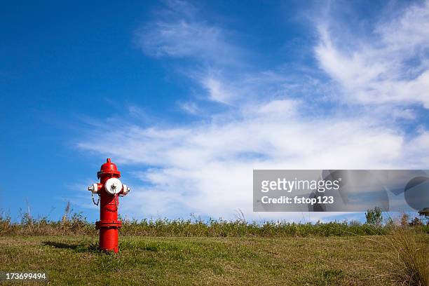 red fire hydrant auf einem hügel mit textfreiraum - fire hydrant stock-fotos und bilder