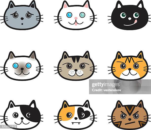 illustrazioni stock, clip art, cartoni animati e icone di tendenza di gatti carino in vari colori, alleva & espressioni - gatto siamese
