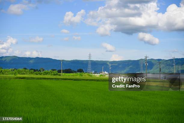 aso's fields and mount aso, japan's agriculture - agriculture training institute peshawar stock pictures, royalty-free photos & images