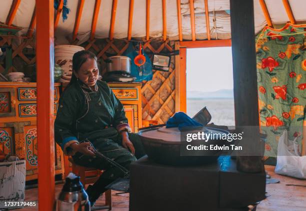mongolian nomad woman preparing traditional milk tea for guest inside ger - mongolian culture stock pictures, royalty-free photos & images