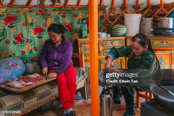 mongolische nomadinnen bereiten essen in der jurte für gäste zu - mongolischer abstammung stock-fotos und bilder