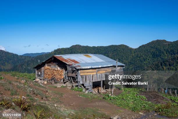 efeler village findik plateau in macahel region in artvin province - rize stock pictures, royalty-free photos & images