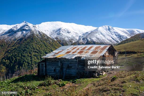 efeler village findik plateau in macahel region in artvin province - rize stock pictures, royalty-free photos & images