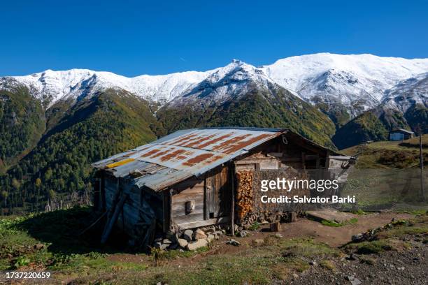 efeler village findik plateau in macahel region in artvin province - rize stock pictures, royalty-free photos & images