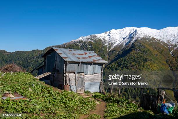 efeler village findik plateau in macahel region in artvin province - rize stock pictures, royalty-free photos & images