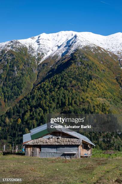 efeler village findik plateau in macahel region in artvin province - rize stock pictures, royalty-free photos & images