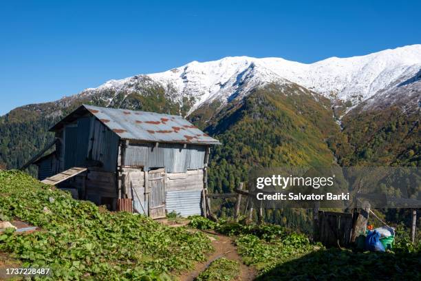 efeler village findik plateau in macahel region in artvin province - rize stock pictures, royalty-free photos & images