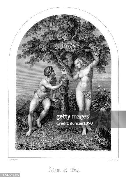 stockillustraties, clipart, cartoons en iconen met adam and eve - adam eve