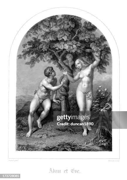 adam and eve - garden of eden stock illustrations