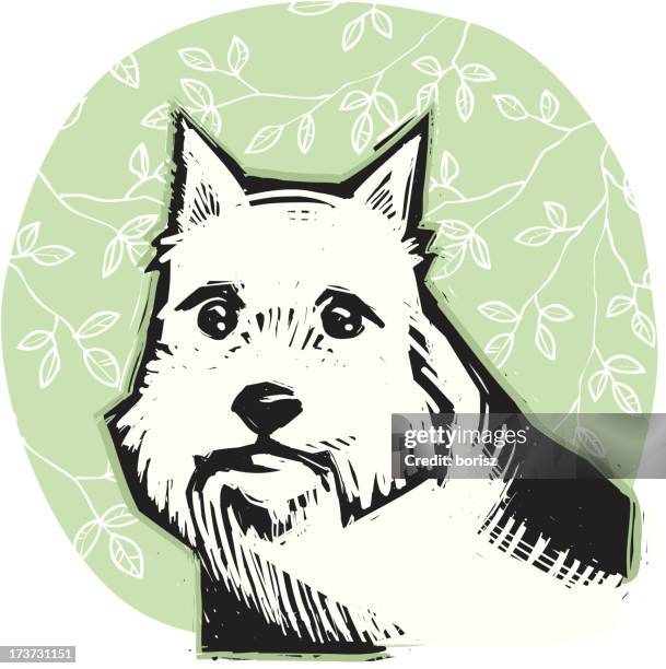 Norwich Terrier High-Res Vector Graphic