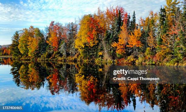 fall foliage reflections along the androscoggin river in dummer, new hampshire usa - river androscoggin stock pictures, royalty-free photos & images