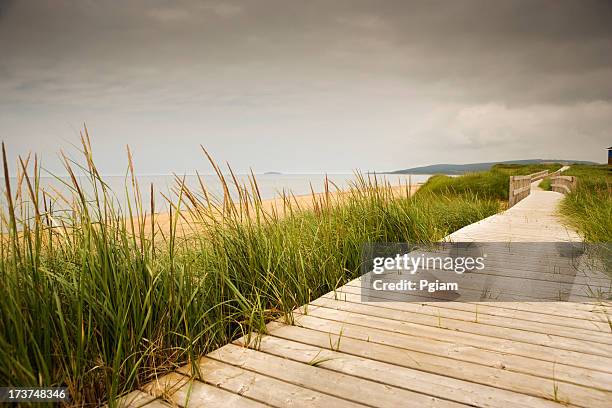 walkway to the beach - atlantic canada stock pictures, royalty-free photos & images