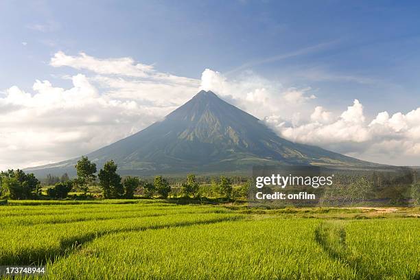 perfect volcano - mayon stock pictures, royalty-free photos & images