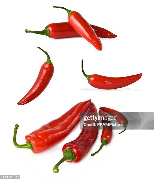 rote paprikaschoten xl - roter chili stock-fotos und bilder