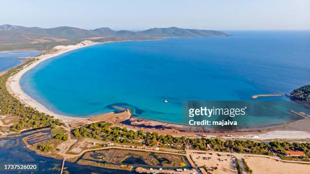 beach of porto pino and is arenas biancas, dunes, sardinia, italy - cagliari flamingos stock pictures, royalty-free photos & images