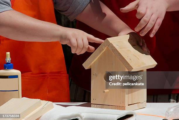 bauen ein vogelhäuschen - vogelhaus stock-fotos und bilder