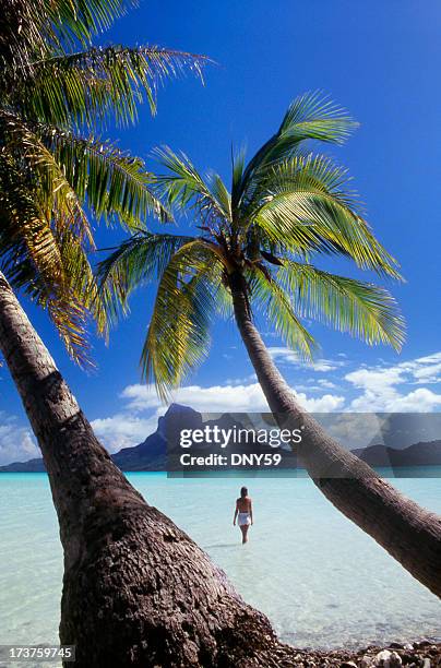 tahiti - bora bora stock pictures, royalty-free photos & images