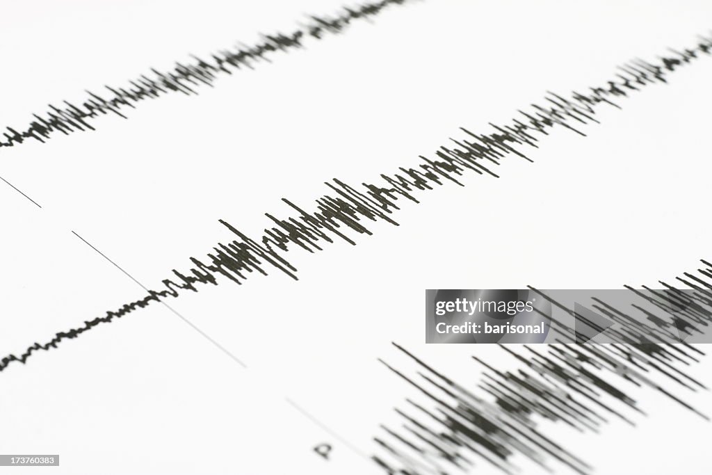 Seismic wave graph on a white paper
