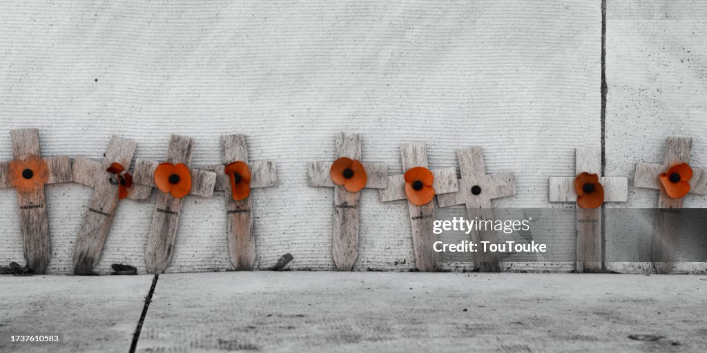 Remembrance day crosses