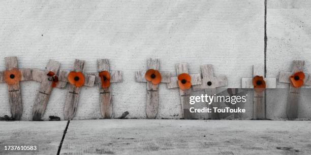 remembrance day crosses - army soldiers stock pictures, royalty-free photos & images