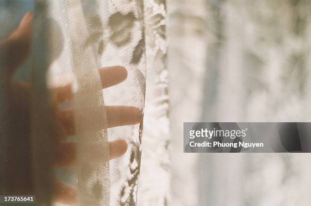 morning light - lace textile stockfoto's en -beelden