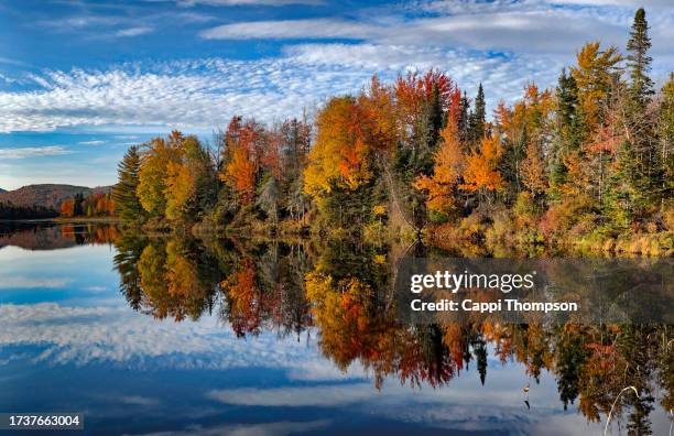 autumn foliage reflections along the androscoggin river in the white mountains, new hampshire usa - river androscoggin stock pictures, royalty-free photos & images