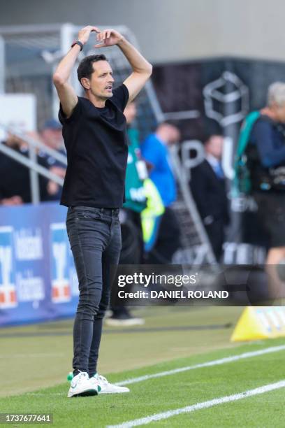 Frankfurt's German head coach Dino Toppmoeller reacts during the German first division Bundesliga football match between TSG 1899 Hoffenheim and...