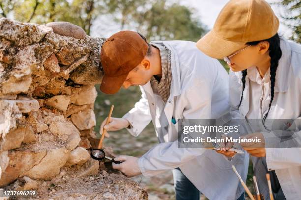 young archeologist working on the field together - archeologie stockfoto's en -beelden