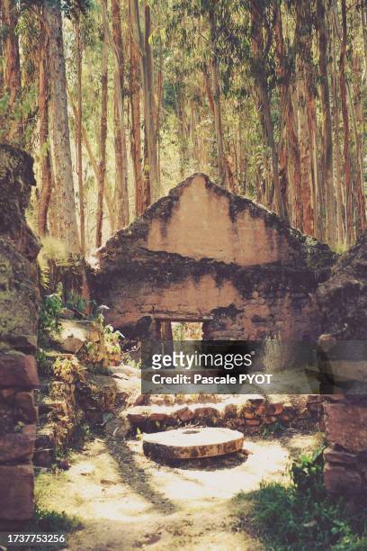 ruins surrounded by trees, mystic place - initiation ceremony stock pictures, royalty-free photos & images