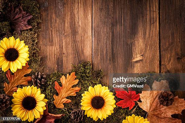 autumn decoration background with leafs - september background stock pictures, royalty-free photos & images