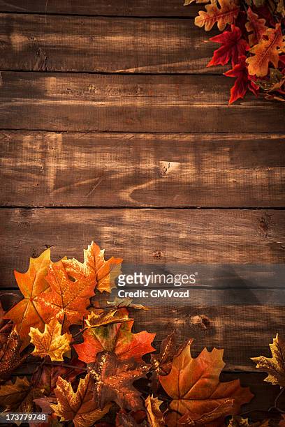 autumn decoration background with leafs - fall backgrounds stock pictures, royalty-free photos & images