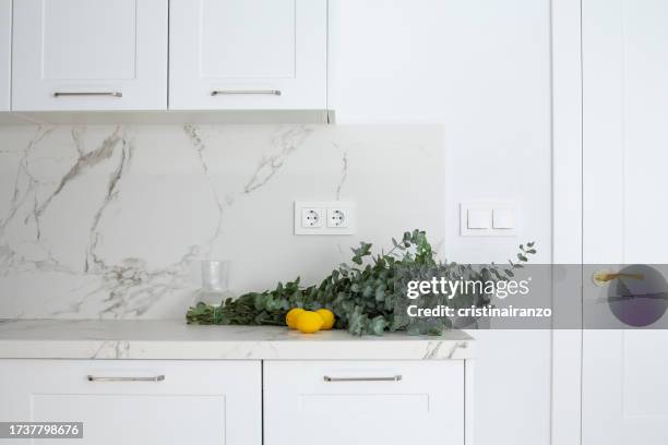 modern white kitchen - cristinairanzo stock pictures, royalty-free photos & images