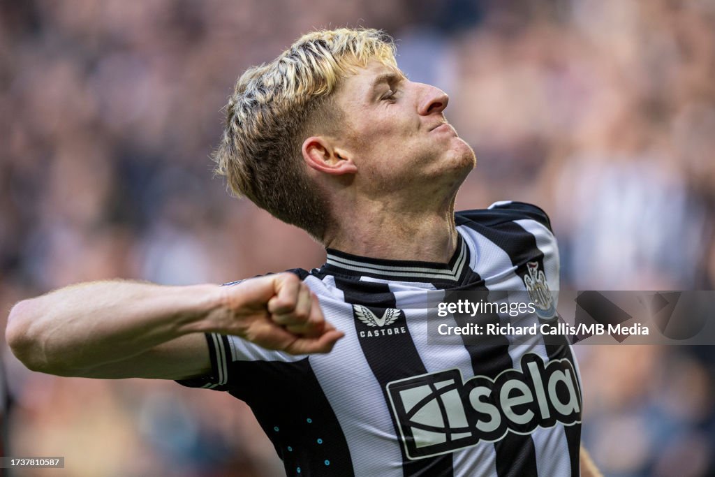 Newcastle United v Crystal Palace - Premier League