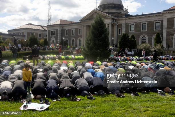 Members of the the Muslim community of Nassau County pray before a rally in support of Palestine and to protest the Israeli bombardment of Gaza, on...