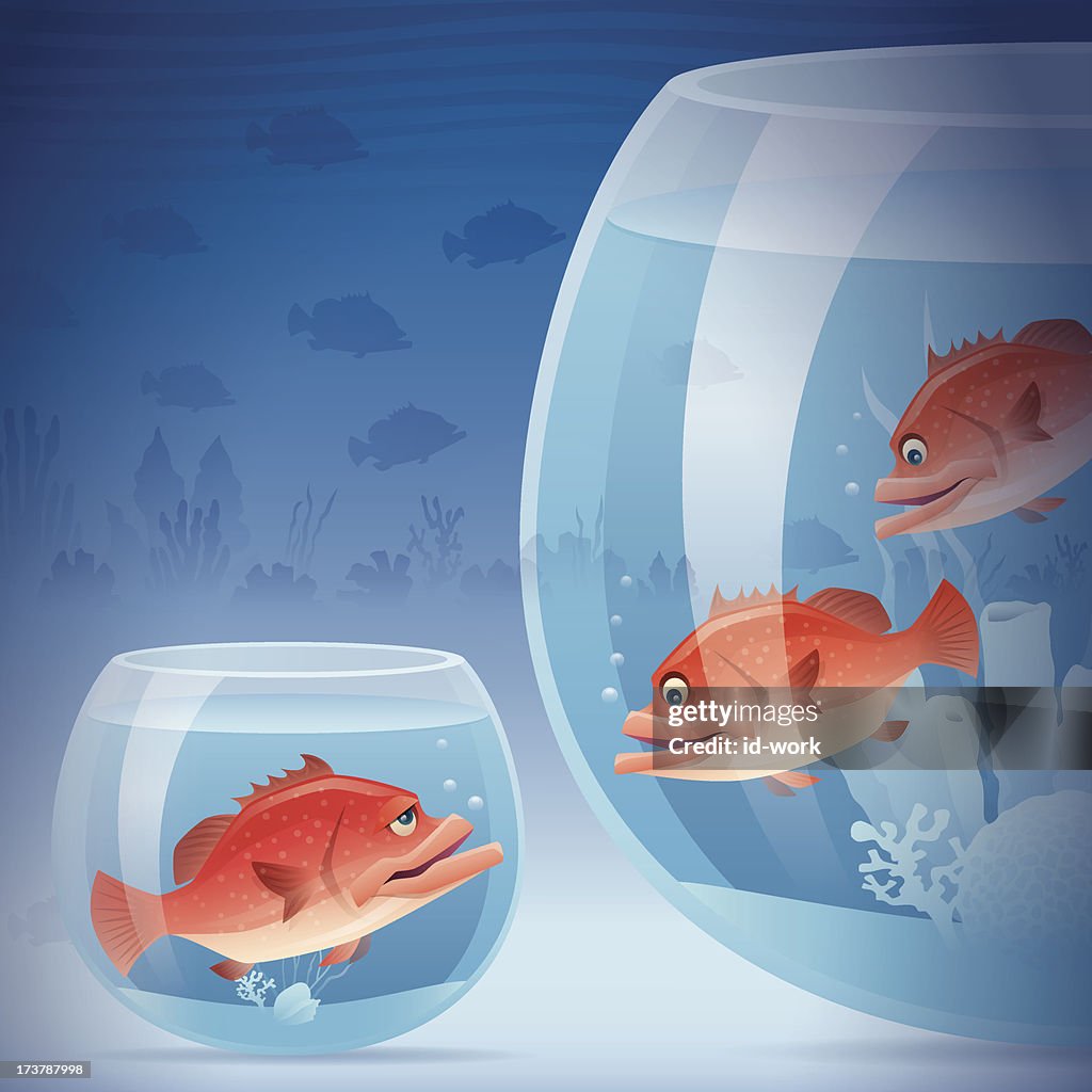Sad Fish High-Res Vector Graphic - Getty Images