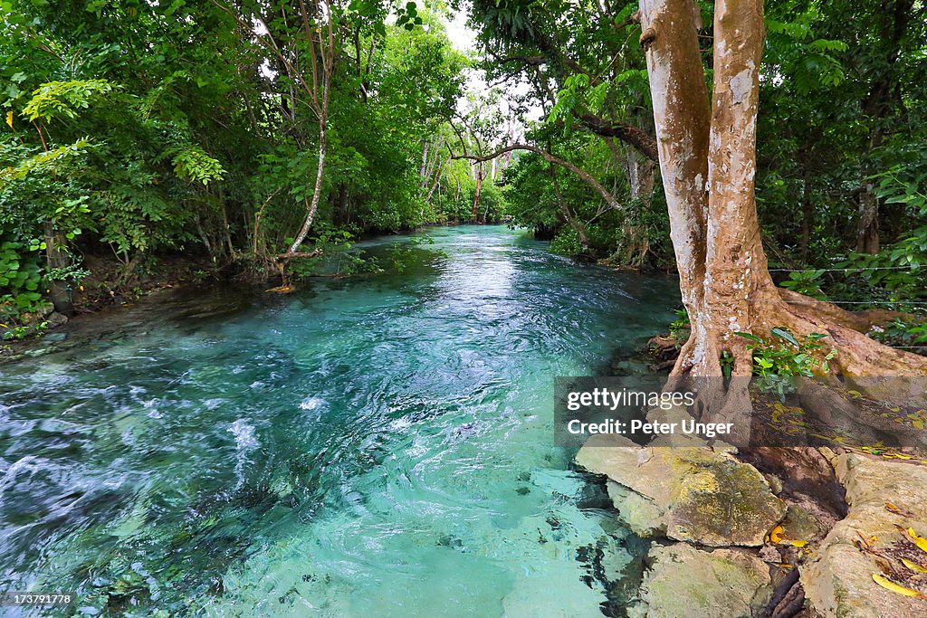 Inland stream, Espiritu Santo Island, Vanuatu