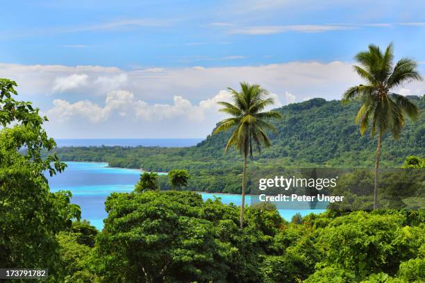 hog harbour, espiritu santo island, vanuatu - vanuatu stock pictures, royalty-free photos & images