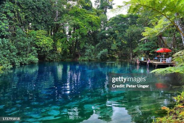 nanda blue hole, espiritu santo island, vanuatu - vanuatu stock pictures, royalty-free photos & images