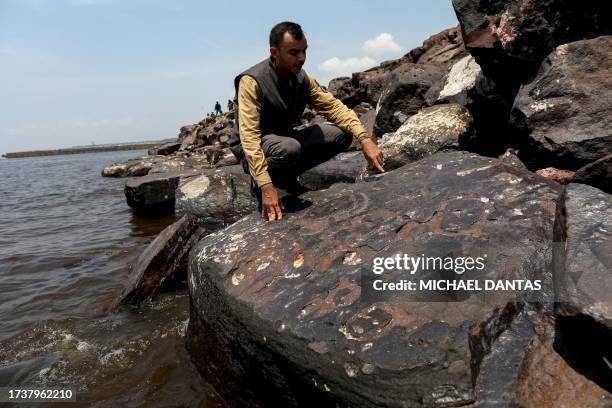 Archaeologist Jaime Oliveira, from the National Historical and Artistic Heritage Institute , shows ancient rock engravings that reappeared in the...