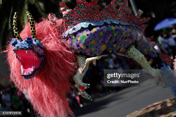 Parade of Monumental Alebrijes that started from the Zocalo of Mexico City to the Angel of Independence, where dozens of fantastic figures...