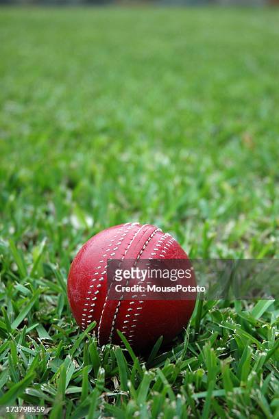 bola de críquet - críquet fotografías e imágenes de stock