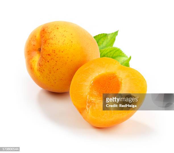 damascos con leafs - apricot fotografías e imágenes de stock
