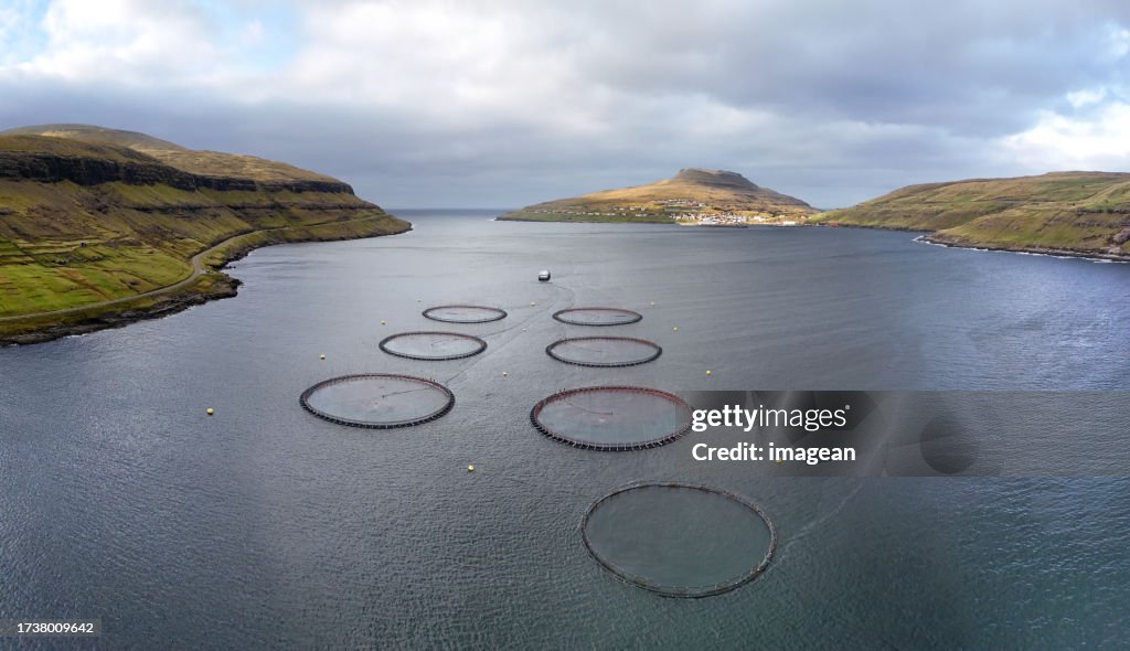 Faroe Islands