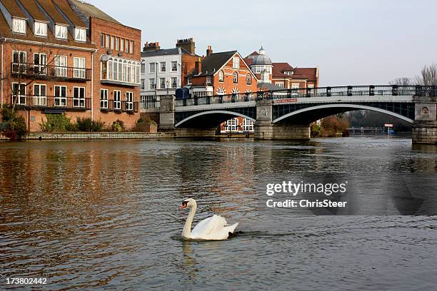 windsor y eton riverside - windsor england fotografías e imágenes de stock